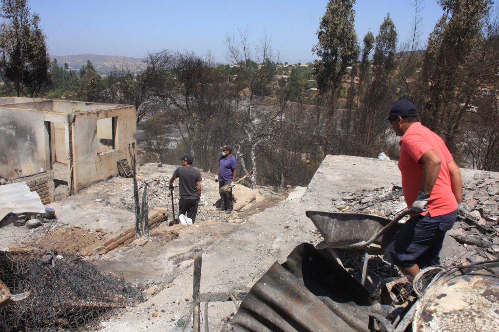 Reporte de la Onemi: ocho comunas con alerta roja y 44 incendios forestales