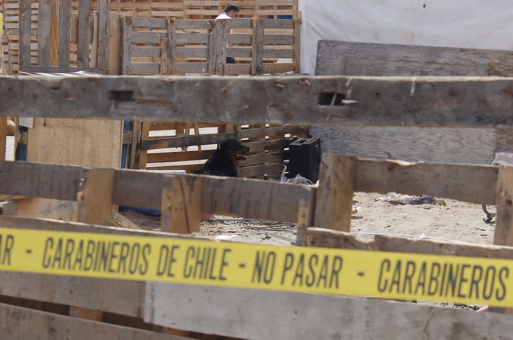 Menor fallece tras ataque de perros Rottweiler en Alto Hospicio