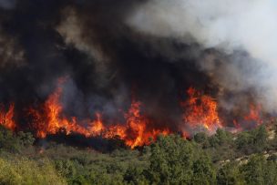 Intendente de Valparaíso advierte a pirómanos: 