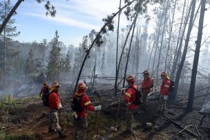 Presentarán demanda contra jóvenes por incendio intencional en Curauma