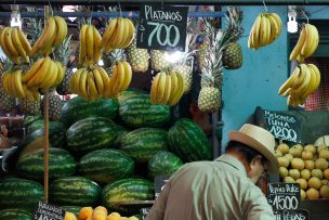 Las gasolinas, las papas y los tomates hicieron caer el IPC de Diciembre