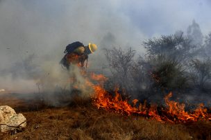 La Onemi declaró Alerta Roja por incendio forestal en Villa Alemana