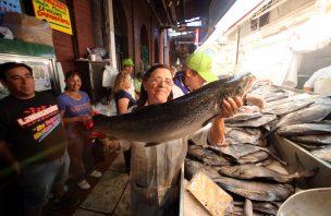 Sernapesca detectó disminución de 18% en uso de antibióticos en salmonicultura