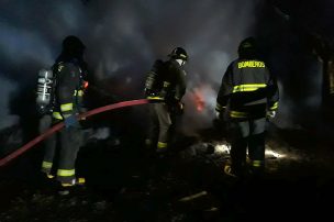 Desconocidos provocan ataque incendiario en predio forestal en Cañete