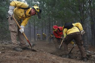 Refuerzan combate de incendios forestales en Valparaíso con brigadas del sur