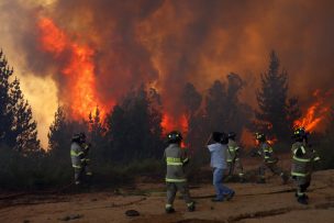 Este es el panorama actual de los incendios forestales en el país según la Onemi