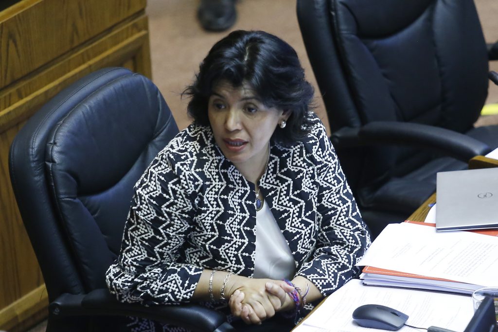 Provoste por el TC: “Aseguró el negocio de la banca y perjudicó a estudiantes”