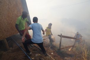 Conaf confirma que hay cinco alertas rojas por incendios forestales en el país