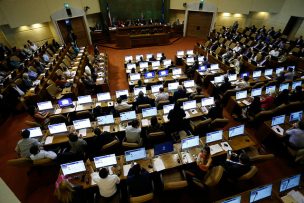 Plaga de termitas afecta al edificio del Congreso