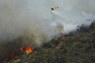 Más de 200 hectáreas ha consumido incendio forestal 