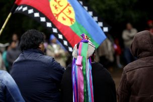 Encuentran muerto a lonco mapuche en camino rural de Ercilla