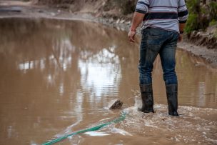 Canales de regadío de Región de Coquimbo no presentan mayores problemas