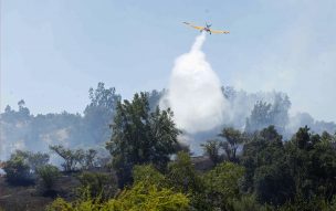 Incendio en Limache deja 60 viviendas destruidas