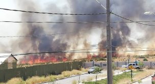 Controlan incendio forestal en Puente Alto