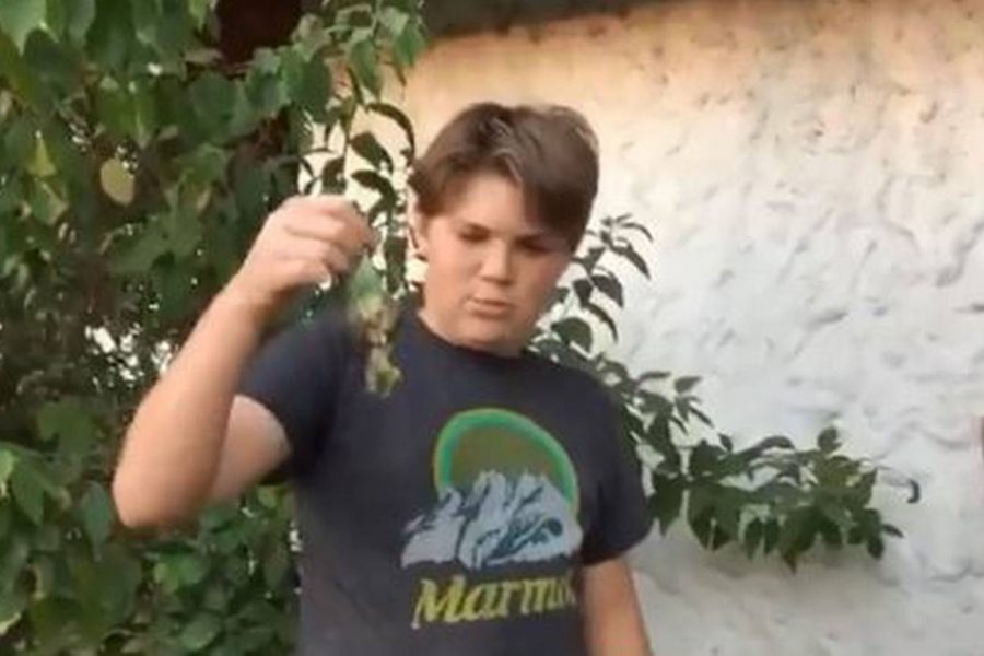 La nueva vida del dueño del Chimuelo