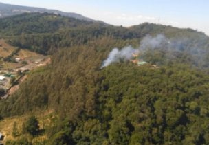 Incendio consumió gran cantidad de hectáreas en área protegida del cerro Ñielol