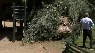 Desprendimiento de roca del Cerro San Cristóbal: cayó sobre condominio de edificios en Providencia