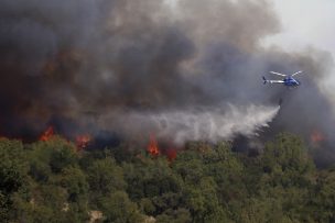 Evacúan a 40 personas desde sector de Panguipulli por gran incendio forestal