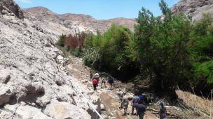 Carabineros rescataron a familia enterrada en el lodo en Berenguela