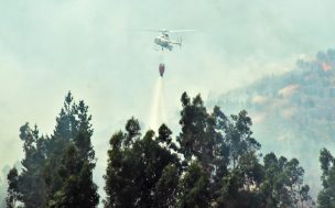 “Ten Tanker”: El avión que este mediodía empieza a combatir los incendios forestales