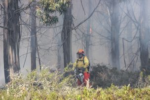 Alerta roja en Aysén por incendio forestal cerca de las Catedrales de Mármol