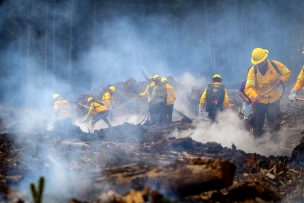 Chile participa en proyecto de la Unión Europea para mejorar sistemas ante incendios forestales