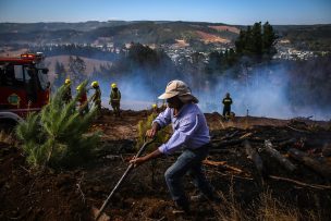 Corte de Temuco ordena prisión preventiva de imputado por incendio forestal