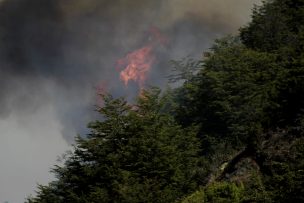 Conaf informó que hay 10 incendios activos al sur del país