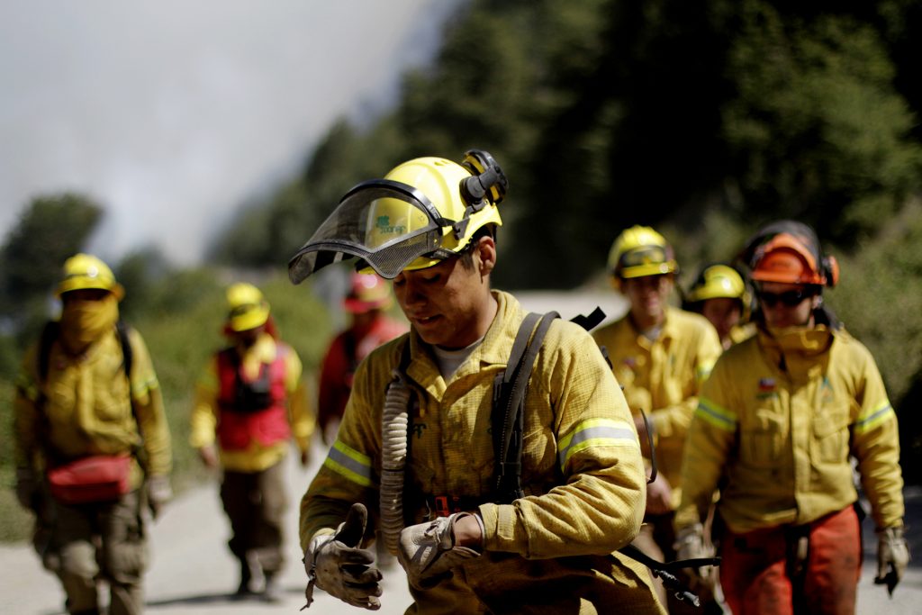 Ministro de Agricultura: “Es probable que los incendios vengan a la zona central”