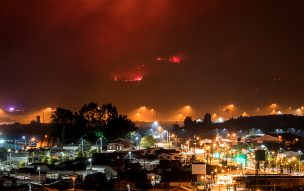 Onemi: 40 incendios forestales se mantienen activos en el país