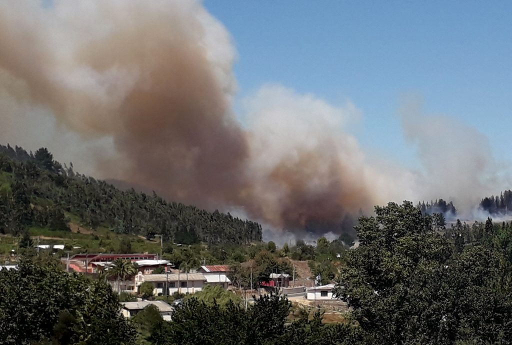 Alcalde de Renaico por dichos de Ubilla sobre incendios: “Criminaliza las demandas del pueblo mapuche”