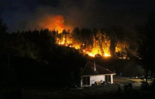 Onemi informó que 16 incendios forestales se mantienen activos en el país