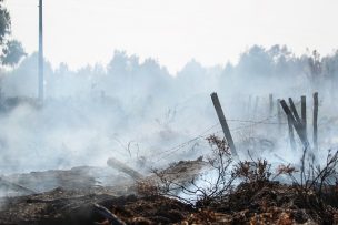 Conaf reporta en su último informe 76 incendios a nivel nacional