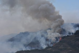 Onemi informó que 25 incendios forestales siguen activos en el país