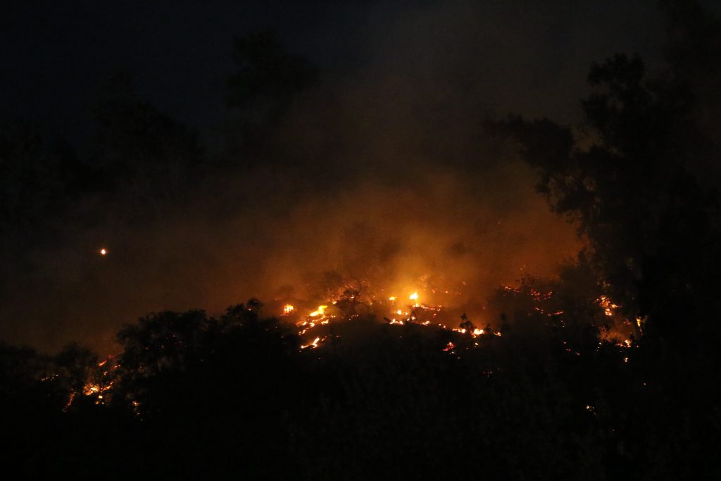 Onemi informó que 21 incendios forestales se mantienen activos en el país