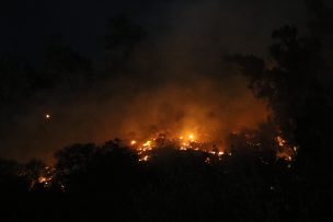 Onemi informó que 21 incendios forestales se mantienen activos en el país