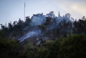 Parque Metropolitano permanecerá cerrado este lunes tras incendio en el cerro San Cristóbal