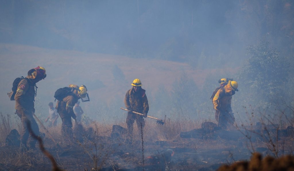 Onemi declaró Alerta Roja para comuna de Paredones por incendio forestal
