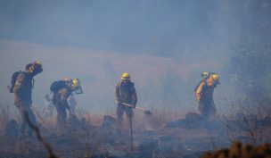 Onemi declaró Alerta Roja para comuna de Paredones por incendio forestal