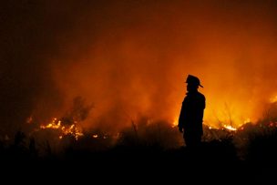 Conaf registra 40 incendios forestales activos y 2 personas fallecidas en La Araucanía