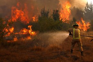 Conaf: Se mantienen 43 incendios forestales activos