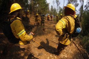 Conaf informa de 30 incendios forestales activos