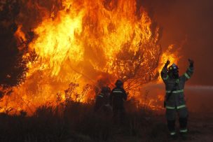 Confirman segunda víctima por incendios forestales en la Araucanía