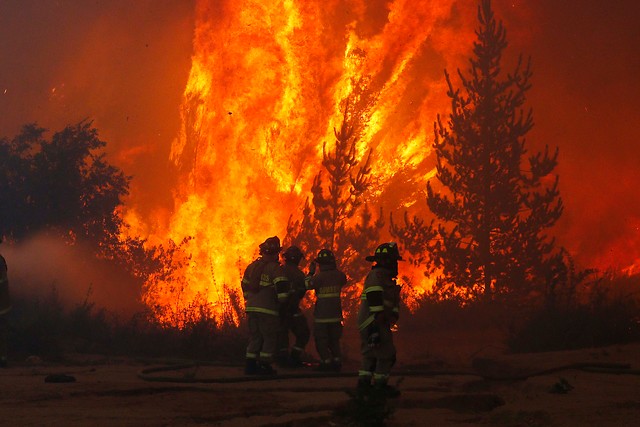 Conaf reporta que se mantienen 45 incendios forestales activos