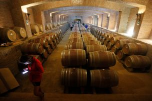 Cepas de vino tinto lideran hectáreas de producción en el país