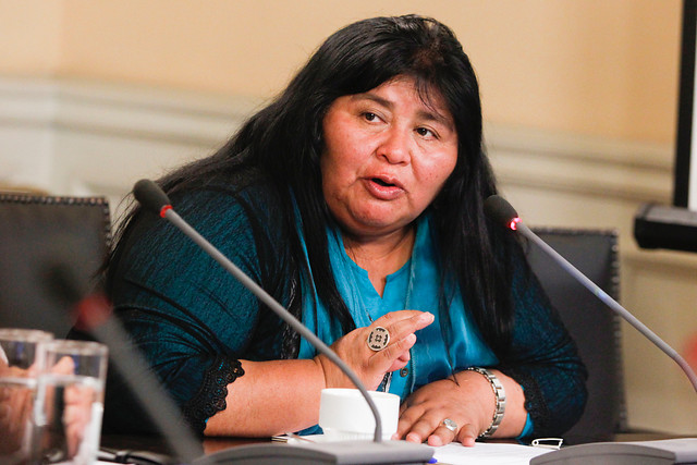 Diputada Nuyado por los dichos de Ubilla: “Han tenido una actitud que ha estigmatizado al pueblo mapuche”