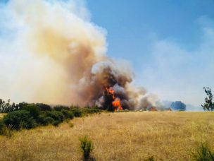 Reconstruirán viviendas afectadas por el fuego en tres comunas de La Araucanía