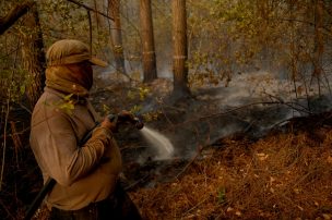 Balance de incendios: 40 mil hectáreas quemadas