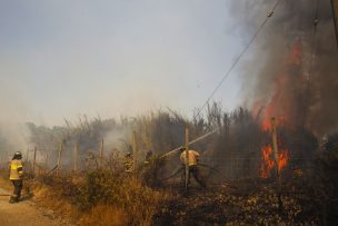 Casas afectadas por los incendios en La Araucanía estarán reconstruidas en 2020