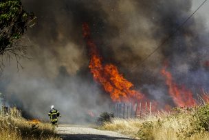 Conaf reporta 33 incendios forestales activos a nivel nacional